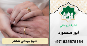 رقم شيخ روحاني شاطر
